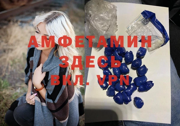 тгк Дмитриев