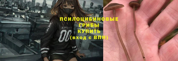 гидропоника Дмитровск