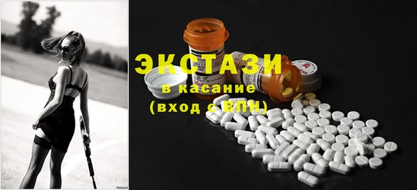 тгк Дмитриев