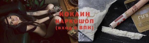тгк Дмитриев