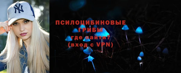 тгк Дмитриев