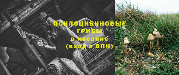 тгк Дмитриев