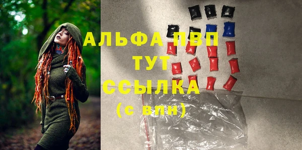 тгк Дмитриев