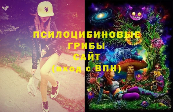 тгк Дмитриев