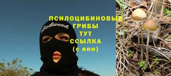 тгк Дмитриев