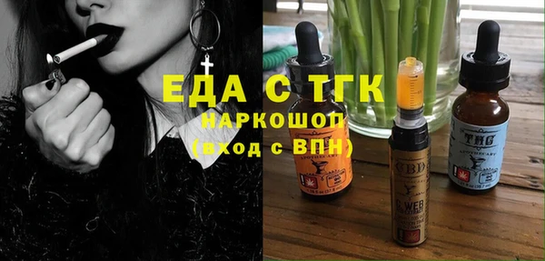тгк Дмитриев